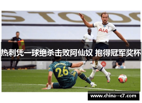 热刺凭一球绝杀击败阿仙奴 抱得冠军奖杯