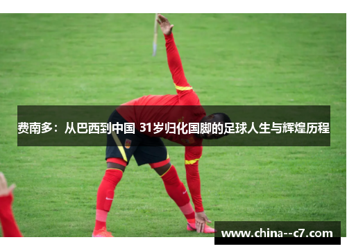 费南多：从巴西到中国 31岁归化国脚的足球人生与辉煌历程