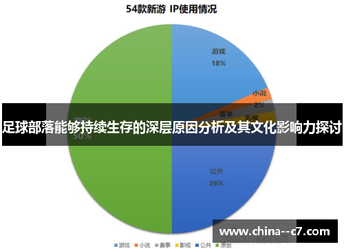 足球部落能够持续生存的深层原因分析及其文化影响力探讨