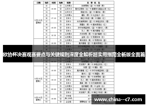 欧协杯决赛观赛要点与关键规则深度全解析超实用指南全新版全面篇
