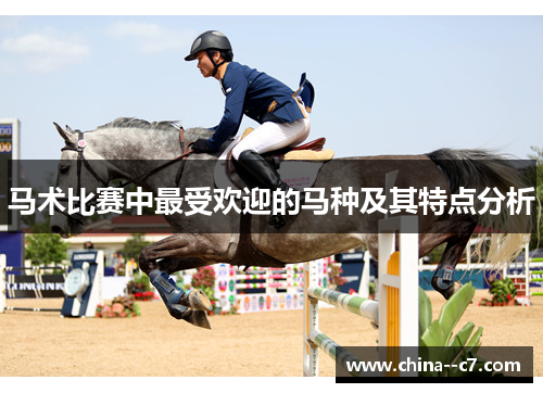 马术比赛中最受欢迎的马种及其特点分析