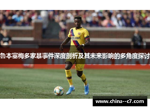 鲁本塞梅多家暴事件深度剖析及其未来影响的多角度探讨