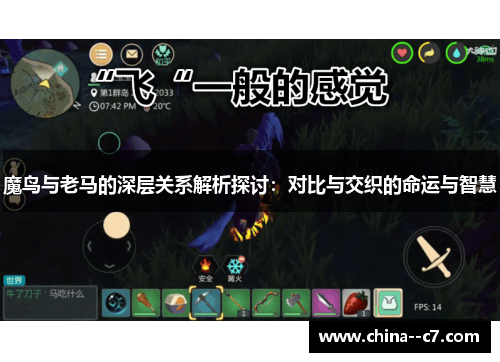 魔鸟与老马的深层关系解析探讨：对比与交织的命运与智慧