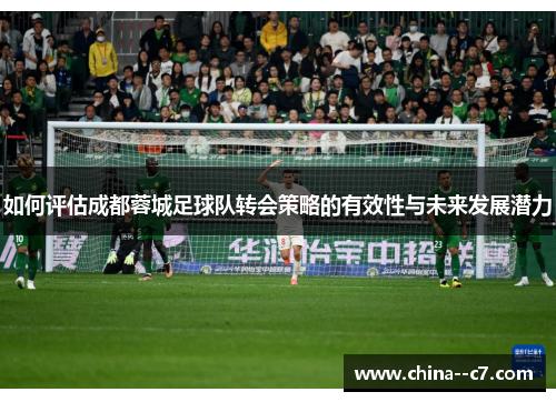如何评估成都蓉城足球队转会策略的有效性与未来发展潜力