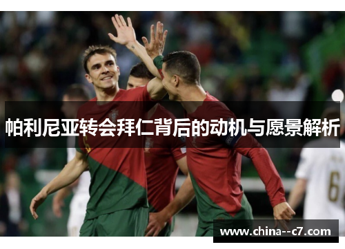 帕利尼亚转会拜仁背后的动机与愿景解析