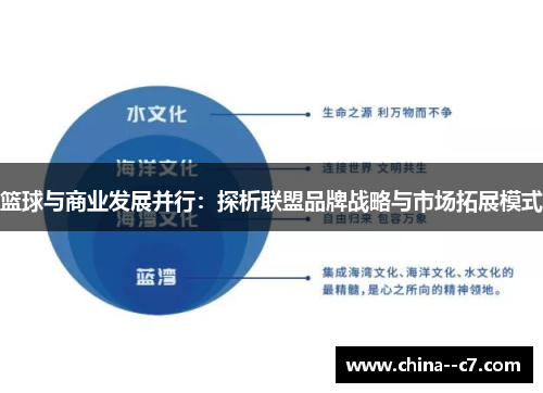篮球与商业发展并行:探析联盟品牌战略与市场拓展模式 篮球与商业发展并行:探析联盟品牌战略与市场拓展模式