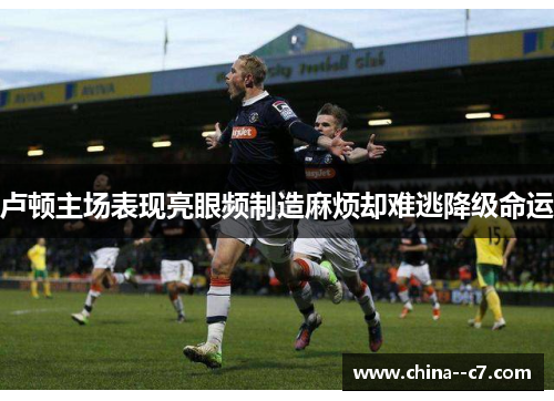 卢顿主场表现亮眼频制造麻烦却难逃降级命运