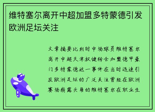 维特塞尔离开中超加盟多特蒙德引发欧洲足坛关注