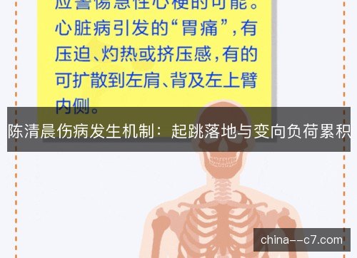 陈清晨伤病发生机制：起跳落地与变向负荷累积