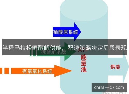 半程马拉松糖酵解供能，配速策略决定后段表现